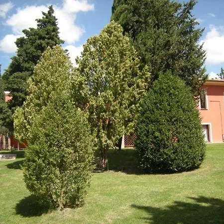 La Collinella * Montaione